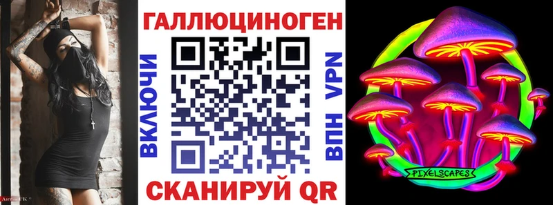 Купить где  Озёры  Галлюциногенные грибы Psilocybine cubensis 